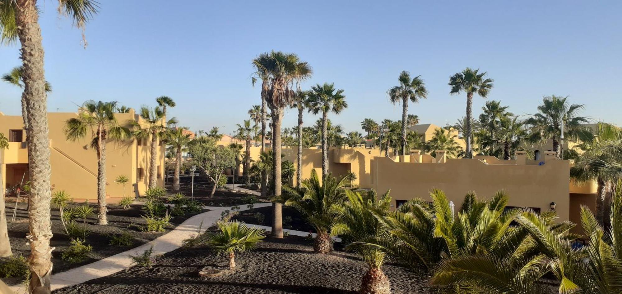 Oasis Waves House Papagayo Appartamento Corralejo